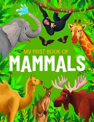 My First Book of Mammals: An Awesome First Look at Mammals from Around the World by Kington, Emily