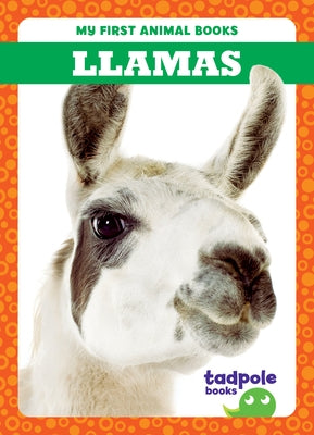 Llamas by Brandle, Marie