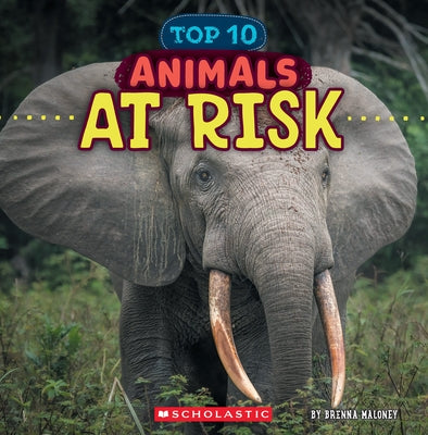 Animals at Risk (Wild World: Top 10) by Maloney, Brenna