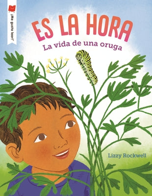 Es La Hora: La Vida de Una Oruga by Rockwell, Lizzy