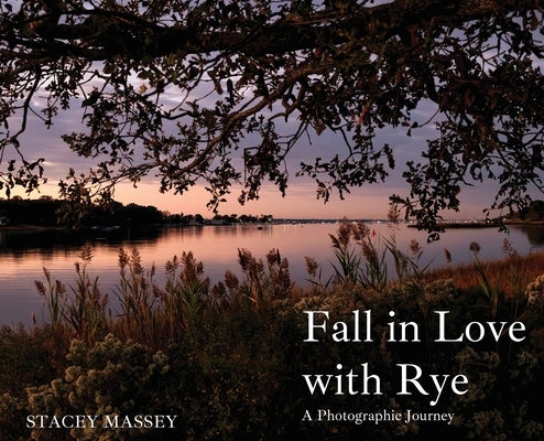 Fall In Love With Rye by Massey, Stacey