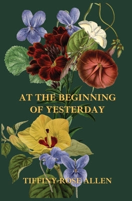 At The Beginning Of Yesterday by Allen, Tiffiny Rose