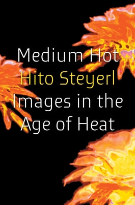 Medium Hot: Images in the Age of Heat by Steyerl, Hito