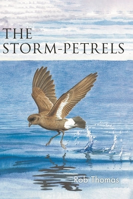 The Storm-Petrels by Thomas, Rob