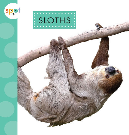 Sloths by Thielges, Alissa