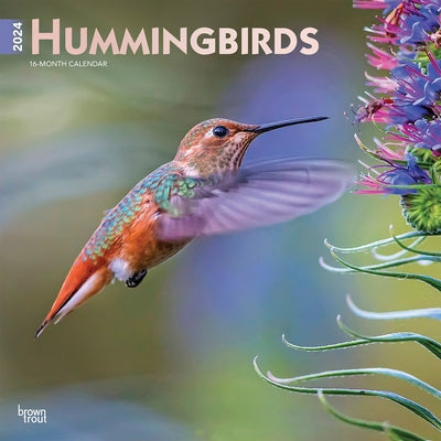 Hummingbirds 2024 Square Foil by Browntrout
