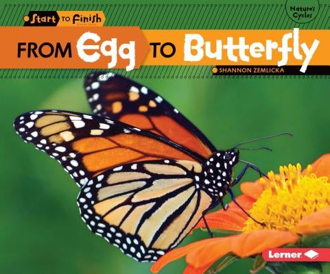 From Egg to Butterfly by Zemlicka, Shannon