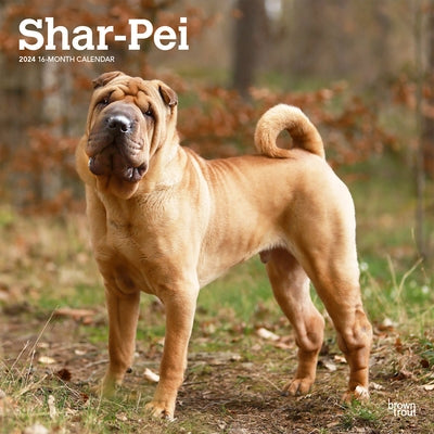 Shar Pei 2024 Square by Browntrout