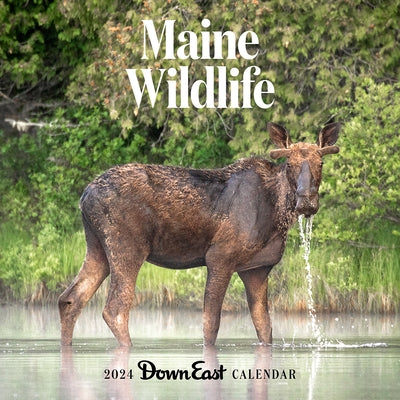 2024 Maine Wildlife Wall Calendar by Down East Magazine