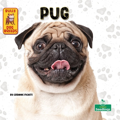 Pug by Fickett, Corinne