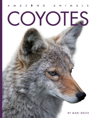 Coyotes by Bolte, Mari