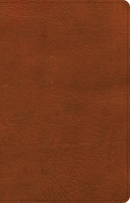 NASB Large Print Thinline Bible, Burnt Sienna Leathertouch by Holman Bible Publishers