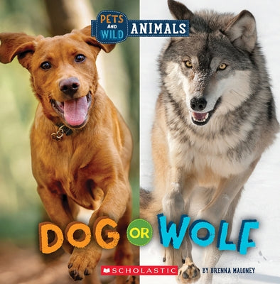 Dog or Wolf (Wild World: Pets and Wild Animals) by Maloney, Brenna