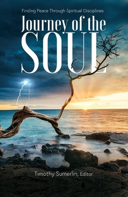 The Soul Journey by Sumerlin, Timothy