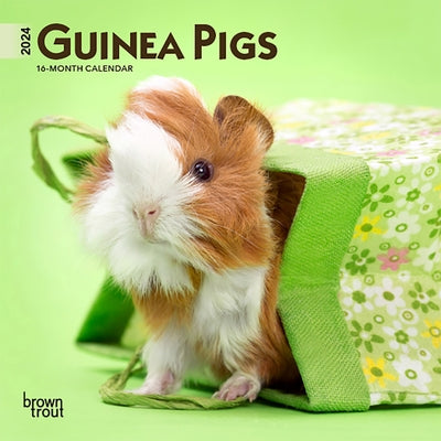 Guinea Pigs 2024 Mini 7x7 by Browntrout