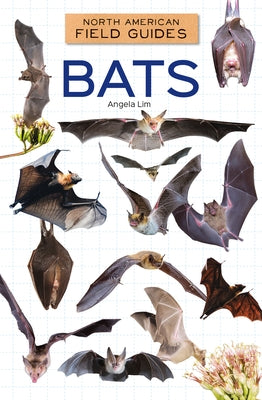 Bats by Lim, Angela
