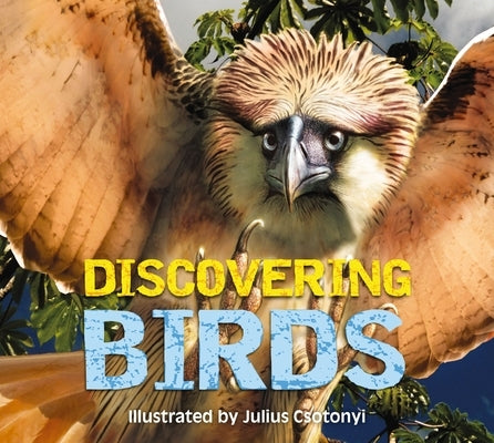 Discovering Birds: The Ultimate Handbook to the Birds of the World by Csotonyi, Julius