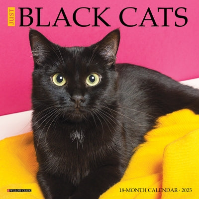 Just Black Cats 2025 7 X 7 Mini Wall Calendar by Willow Creek Press