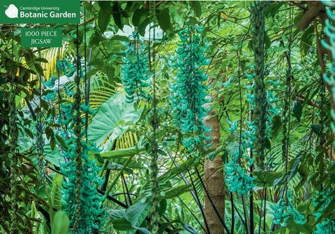 Jade Vine 1000 Piece Jigsaw Puzzle: Cambridge University Botanic Garden by Rice, Howard