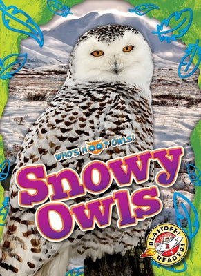 Snowy Owls by Barnes, Rachael