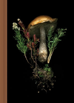 Deep Dark Forest Mushroom Journal by Hajnoczky, Julya