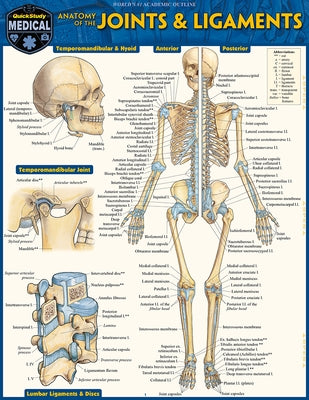 Anatomy of Joints & Ligaments: A Quickstudy Laminated Reference Guide by Perez, Vincent