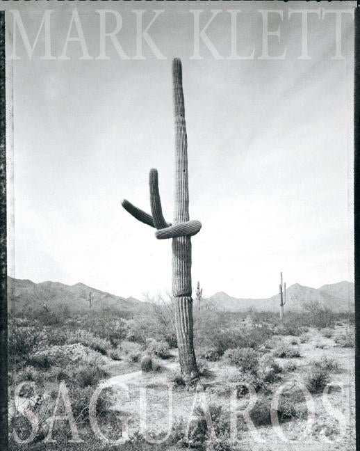 Mark Klett: Saguaros by Klett, Mark