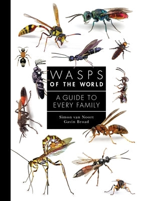 Wasps of the World: A Guide to Every Family by Noort, Simon Van