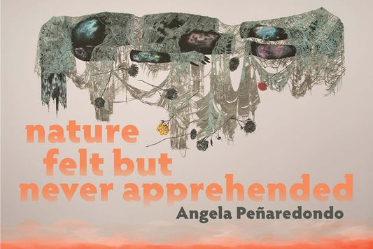 Nature Felt But Never Apprehended by Pe&#241;aredondo, Angela