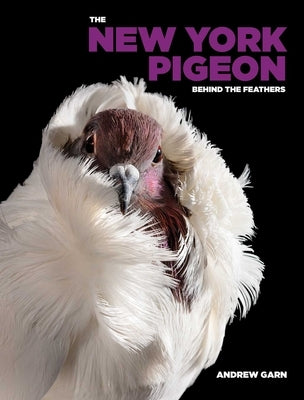 The New York Pigeon by Garn, Andrew