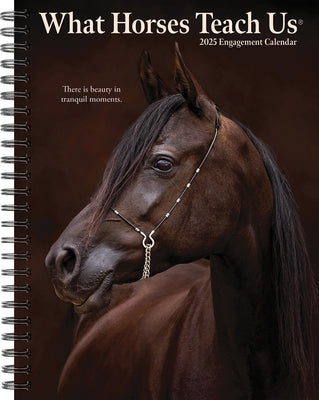 What Horses Teach Us 2025 6.5 X 8.5 Engagement Calendar by Willow Creek Press