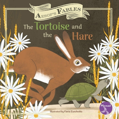 The Tortoise and the Hare by Anderson, Shannon