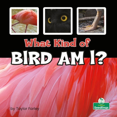 What Kind of Bird Am I? by Farley, Taylor