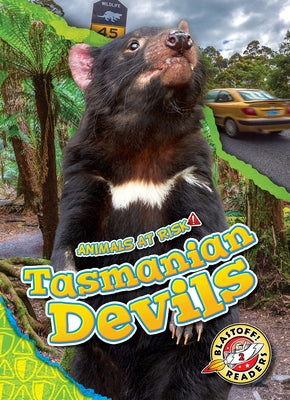 Tasmanian Devils by Grack, Rachel