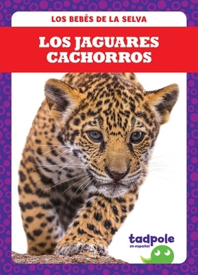 Los Jaguares Cachorros (Jaguar Cubs) by Nilsen, Genevieve