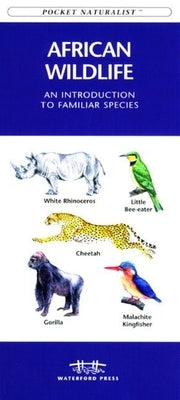 Africa Birds: A Folding Pocket Guide to Familiar Species by Kavanagh, James