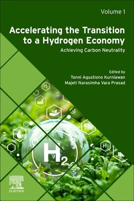 Accelerating the Transition to a Hydrogen Economy: Achieving Carbon Neutrality by Kurniawan, Tonni Agustiono