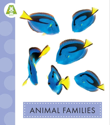 Animal Families by Suen, Anastasia