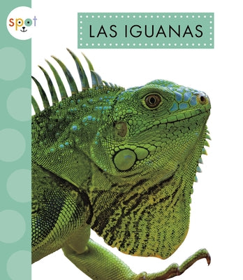 Las Iguanas by Thielges, Alissa