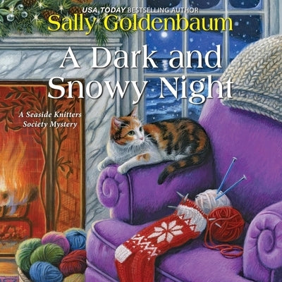 A Dark and Snowy Night by Goldenbaum, Sally