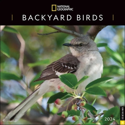 National Geographic: Backyard Birds 2024 Wall Calendar by National Geographic