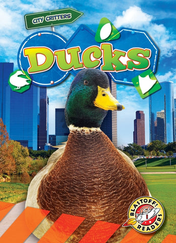 Ducks by Schuh, Mari C.