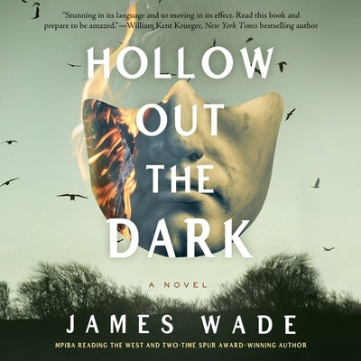 Hollow Out the Dark by Wade, James