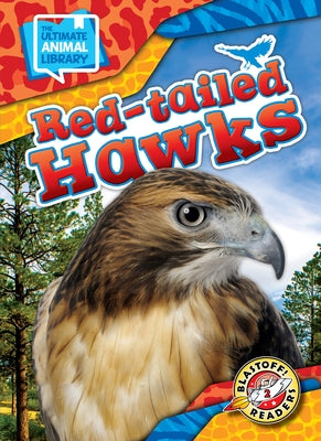 Red-Tailed Hawks by Bowman, Chris