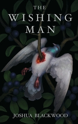 The Wishing Man by Blackwood, Joshua