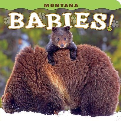 Montana Babies! by Lehmann, Steph