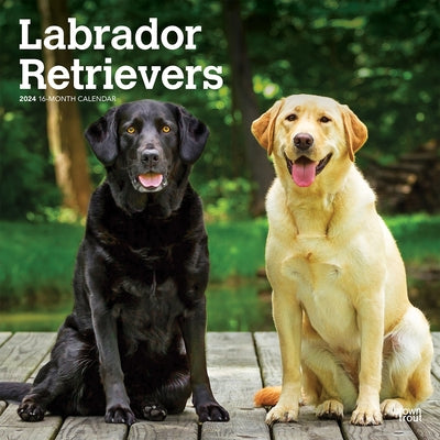 Labrador Retrievers 2024 Square by Browntrout