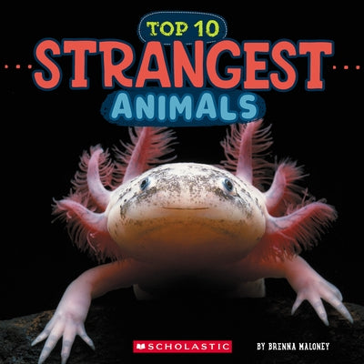 Strangest Animals (Wild World: Top 10) by Maloney, Brenna