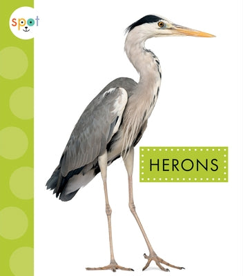 Herons by Amstutz, Lisa