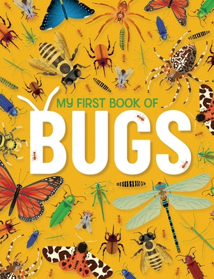 My First Book of Bugs by Lakicevic, Dusan